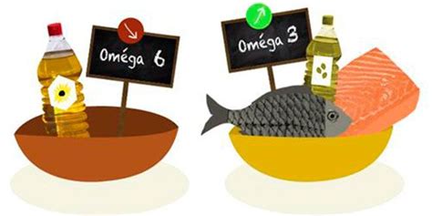 Ácidos Grasos Omega3 Y Omega 6 ¿cómo Equilibrarlos En Nuestra Dieta