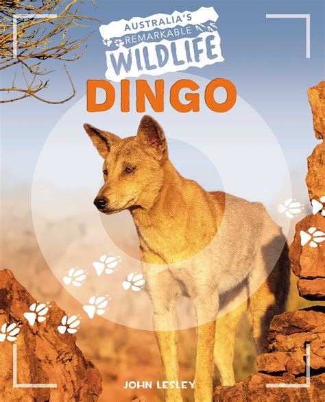 Dingo By John Lesley Redback Publishing Australia