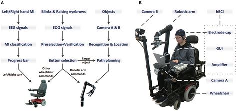 Frontiers An EEG EOG Based Hybrid Brain Computer Interface