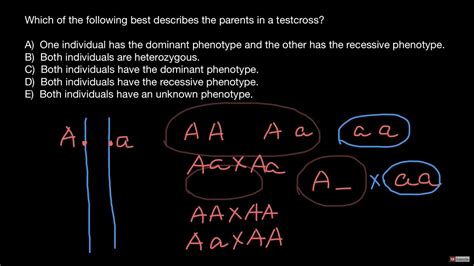 What Is A Test Cross Youtube