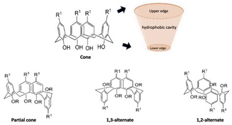 Molecules Free Full Text Role Of Calixarene In Chemotherapy