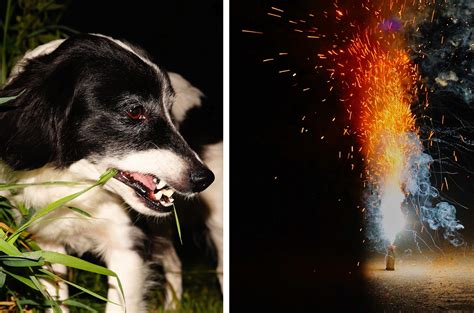 Immer Mehr Kritische Stimmen Gegen B Ller Raketen Und Co Feuerwehr