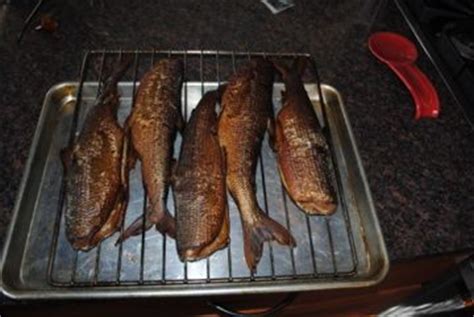 Smoked Cisco fish by Tdbill Brine: 1 qt of apple juice, 1 cup of kosher salt, and 1 cup of brown ...