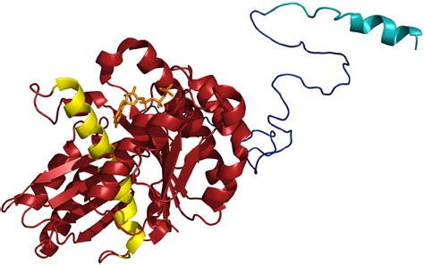 Figure 1 From An Intrinsically Disordered Linker Plays A Critical Role