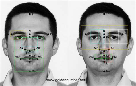 Meisner Beauty Guide For Golden Ratio Facial Analysis