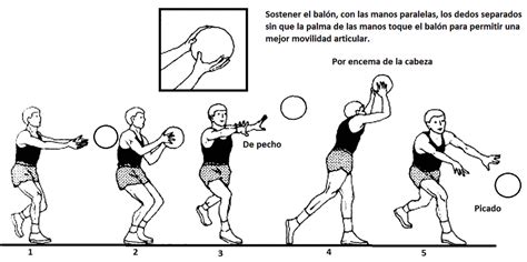 Baloncesto Gestos T Cnicos Deportivos