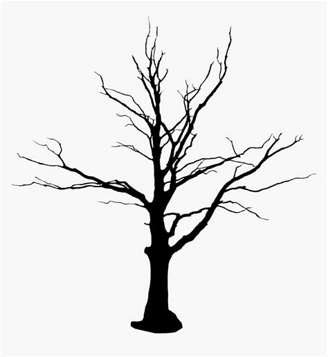 Tree Without Leaves Drawing Png - Cartoon Tree Without Leaves Drawing ...