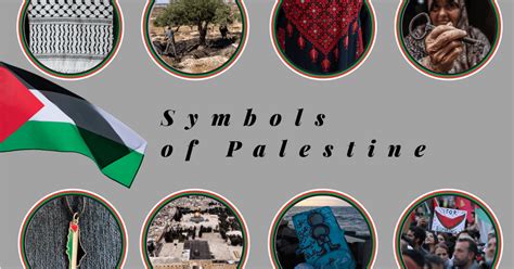 What Do The Keffiyeh Watermelon And Other Palestinian Symbols Mean