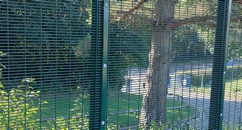 Secure Defender 358 Mesh Fencing