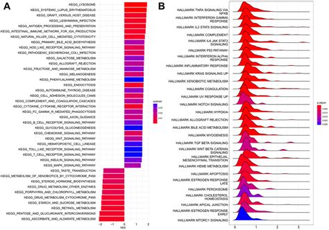 Identification And Validation Of A 7 Genes Prognostic Signature For Adult Acute Myeloid Leukemia