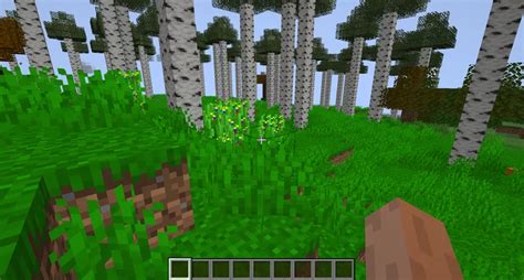 Better Birch Minecraft Mod