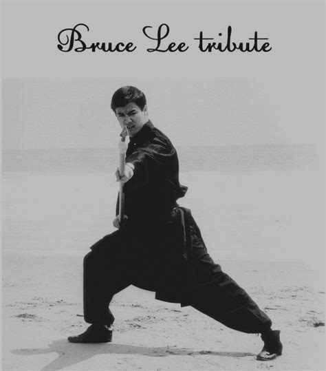 Pin By Bruce Lee Tribute By Julie Nay On Bruce Lee Teaching The Art Of