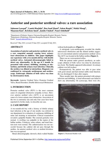 Pdf Anterior And Posterior Urethral Valves A Rare Association