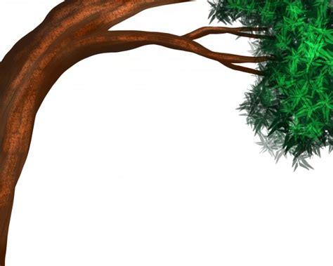 tree border  stock photo public domain pictures