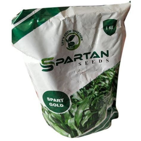 Dried Sorghum Sudan Grass Seed Packaging Type Packet Packaging Size 1kg At Rs 400 Kg In Sonipat