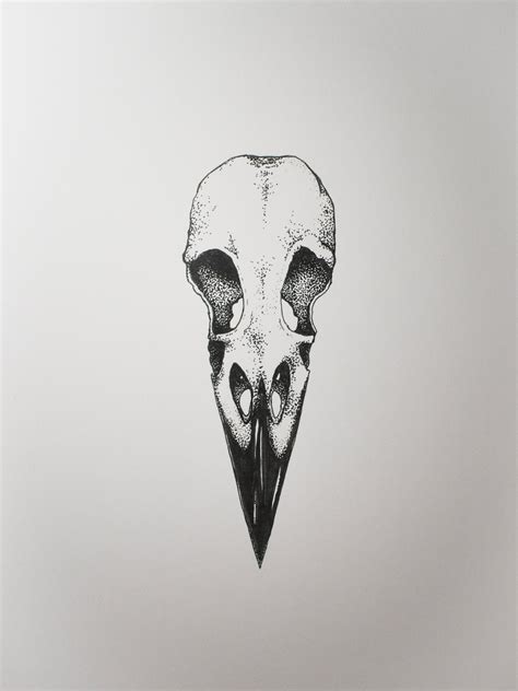 Raven Skull Drawing