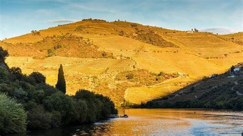 Valle Del Douro Cosa Vedere Come Arrivare E Tour 2024 Porn Sex Picture