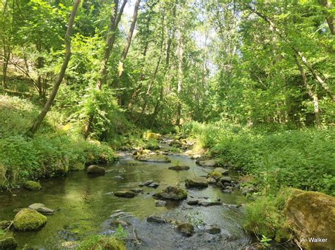 Une Application Pour Alerter Sur Le Niveau Des Cours D Eau