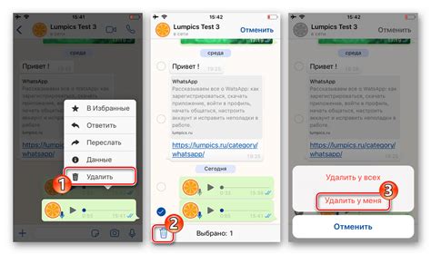 Как отправить голосовое сообщение в ВатсАпе
