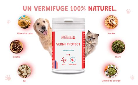 Vermi Protect Vermifuge Naturel Pour Chien Et Chat Antiparasitaire