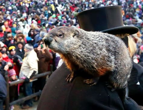 History of Groundhog Day | visitPA