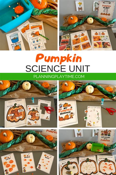 Pumpkin Science Activities Preschool Planning Playtime