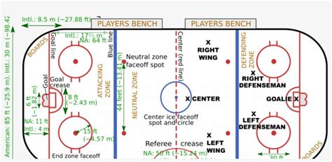 Ice Hockey Rink Png : Infographic chart icon, creative ppt element, five. - Kremi Png