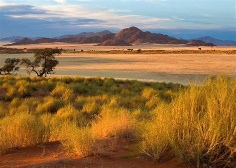 The Naukluft Mountains, Namibia | Tailor-made Trips | Audley Travel UK