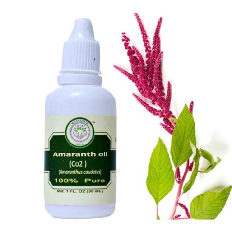 Amaranth Seeds Oil Certification Ce At Best Price In Kannauj Id