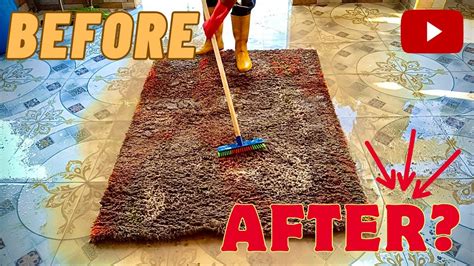 Horrible Dirty Carpet Cleaning ASMR How To Wash Carpet Satisfying