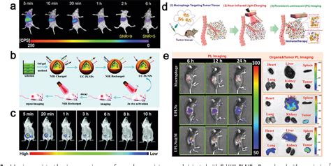 Figure From Recent Progress In Time Resolved Biosensing And