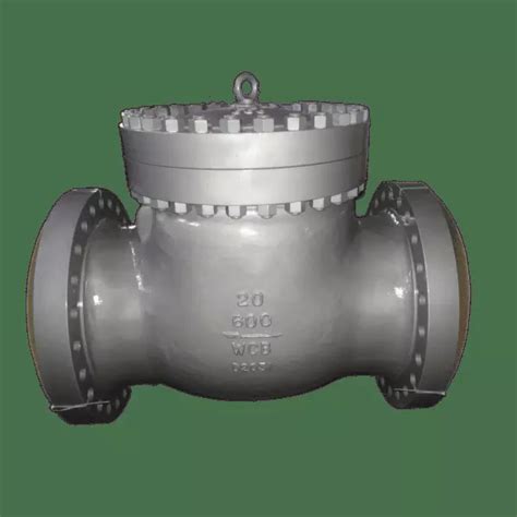 Astm A A Swing Check Valve Cl Lb Inch Flanged Bosseal