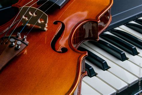 Violin Wallpapers - 4k, HD Violin Backgrounds on WallpaperBat