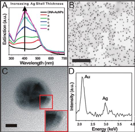 DNA Em Au Ag Coreshell Nanoparticles A UV Visible Spectral Profile