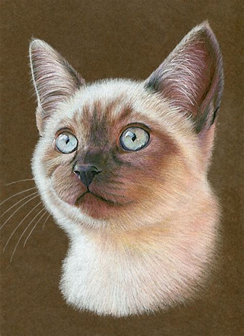 Siamese Cat Drawing at GetDrawings | Free download