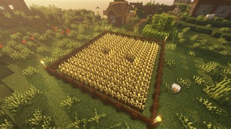 5 Best Minecraft Wheat Farm Designs