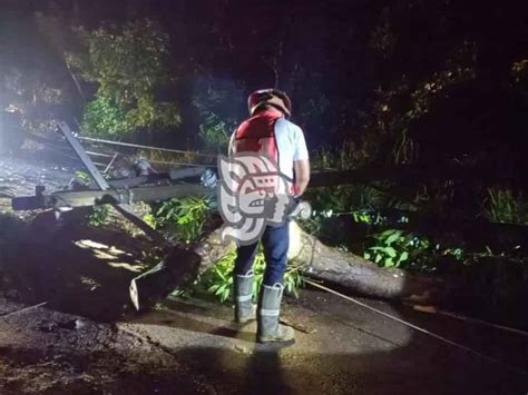 Rbol Cae Y Derriba Postes En Amatl N Uno Cay Sobre Una Camioneta