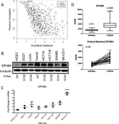 Genome Scale Rnai Screen Identifies Ephb As A Ksr Like Effector A