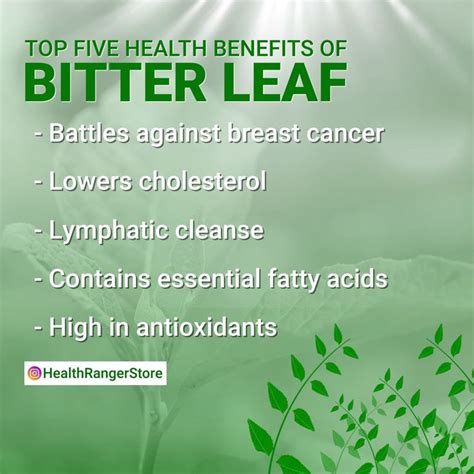 Health benefits of bitter leaf [Video] | Health benefits, Herbal treatment, Leaf health