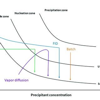 Schematic Representation Of A Two Dimensional Phase Diagram As A