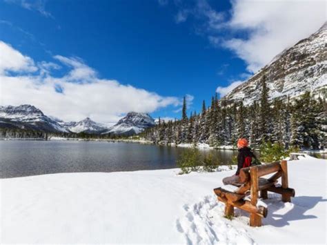 Snowshoeing And Wildlife Watching In Glacier National Park