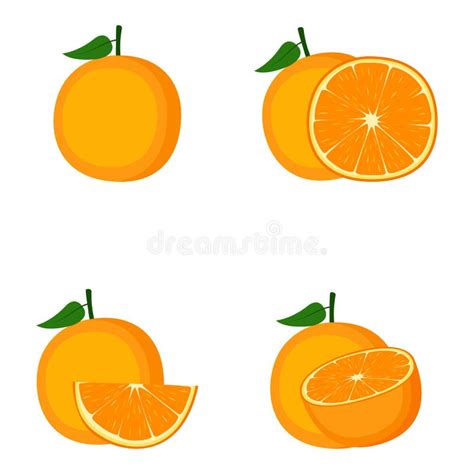 Orange Whole Fruit Slice Vector Illustration Stock Vector