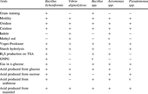 Biochemical Tests Performed To Confirm Bacteria Isolated From The