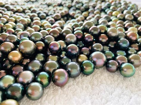 5 Steps Of Pearl Farming Process Les Merveilles Du Pacifique