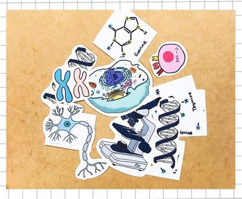 Molecular Biology Stickers Dna Stickers Cell Stickers Science Stickers