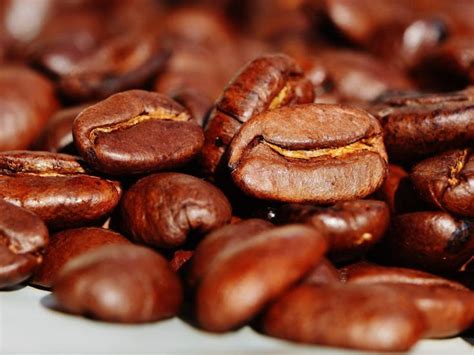 Hot Brew Coffee Has Higher Levels Of Antioxidants Than Cold Brew