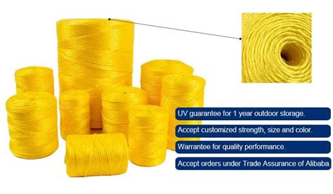 Factory Supply Uv Resistance Polypropylene Cord Customized Length Pp