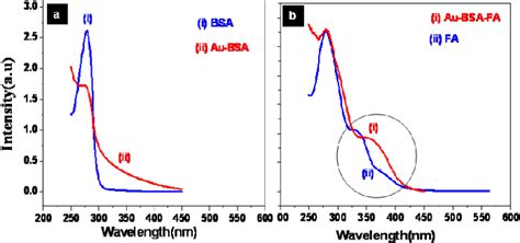 Uvvis Absorption Spectra Of A Bsa And Aubsa B Fa And