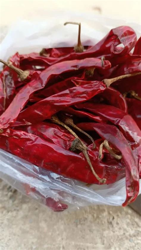 Wonder Hot Red Chilli Packaging Size To Kg At Kg In Jamnagar