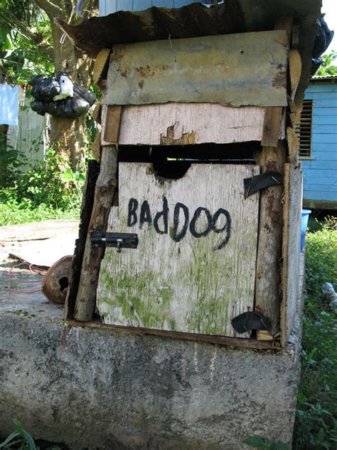 Bad Dog House Matt Jenson Flickr